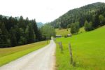 2014-07-05_Laengental-N-Hochweg (272). JPG